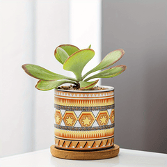 Nordic Style Ceramic Flower Pot for Succulents, Indoor and Outdoor Use