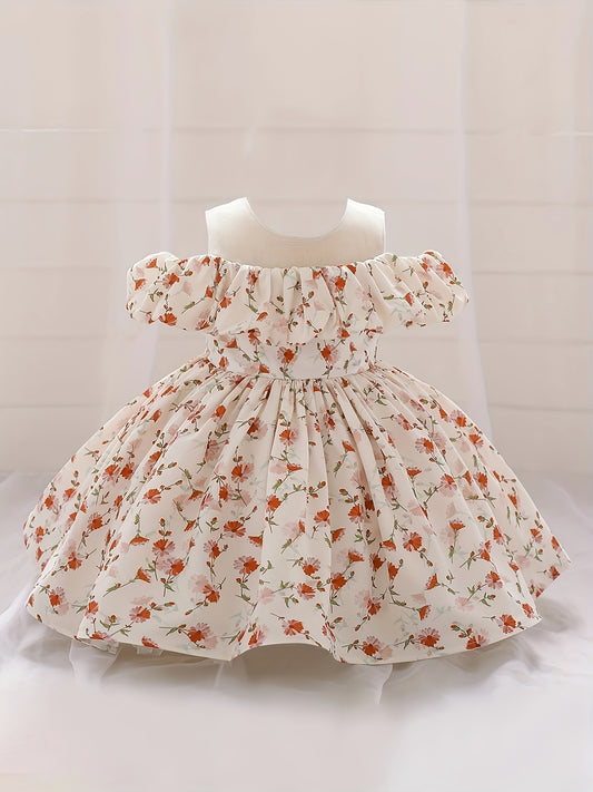 Girls Floral Print Puffy Dress Baby One Year Birthday Party Gown