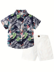 2pcs Boys Flamingo Graphic Print Shirt&Shorts Set