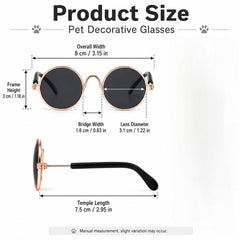 img_4560824