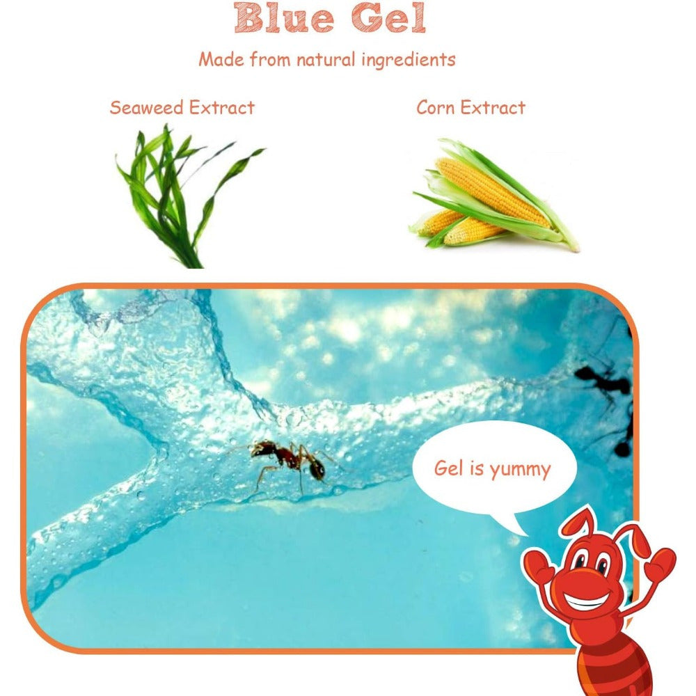 Ant Farm Castle Science Learning Kit with Habitat Gel 3D Maze Ecosystem