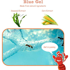 Ant Farm Castle Science Learning Kit with Habitat Gel 3D Maze Ecosystem