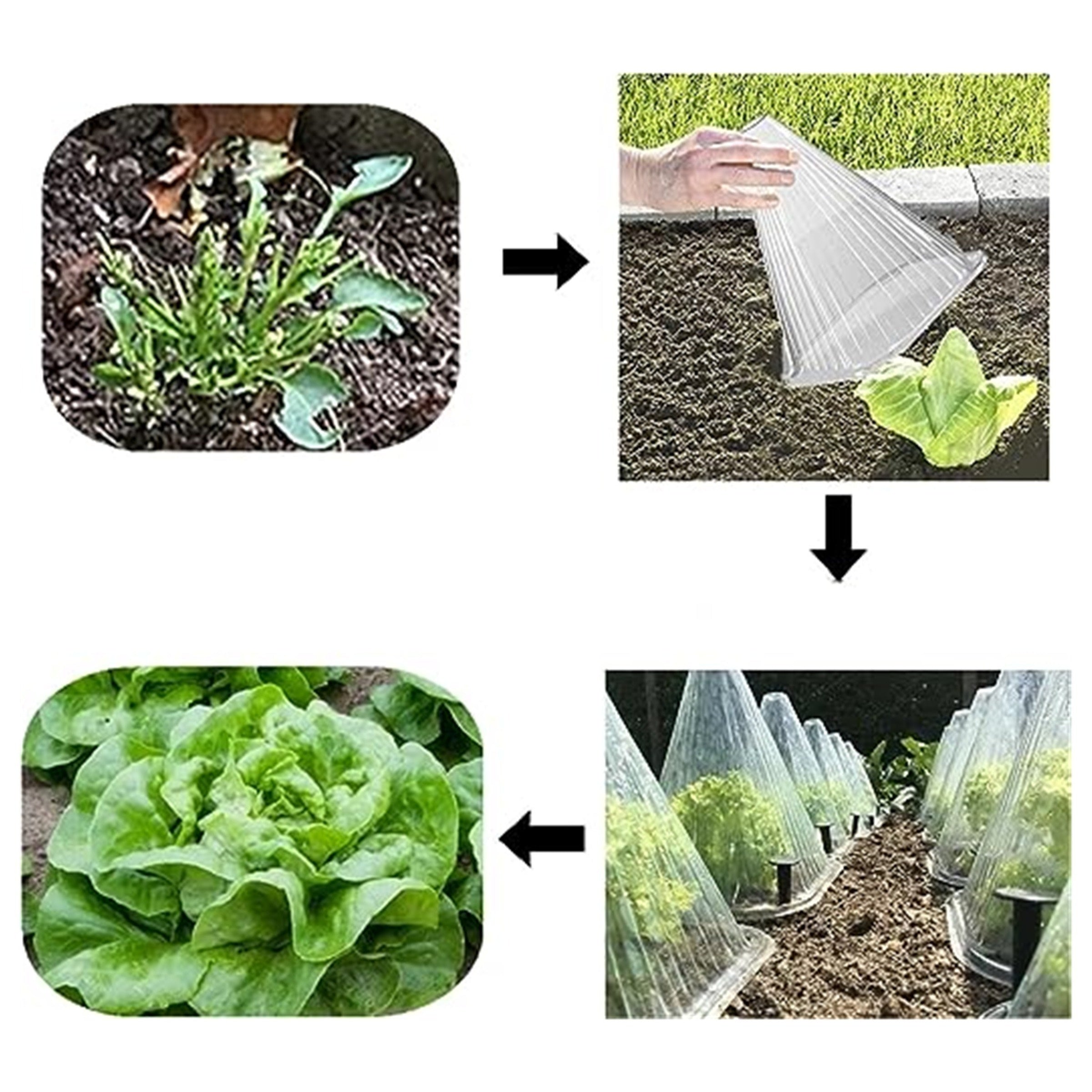 10pcs Plant Bell Cover Protects Plants From Birds 21x19x19cm