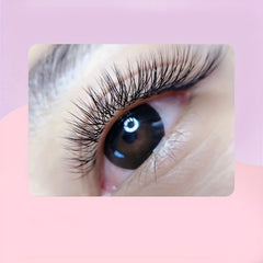 YY Shape Cluster Lashes for Daily Makeup Use