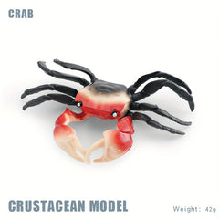 Hermit Crab & Crab Ornament Model