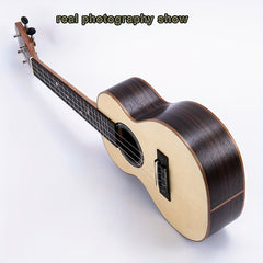 66 cm Spruce Single Plate Rosewood Back Side Plate