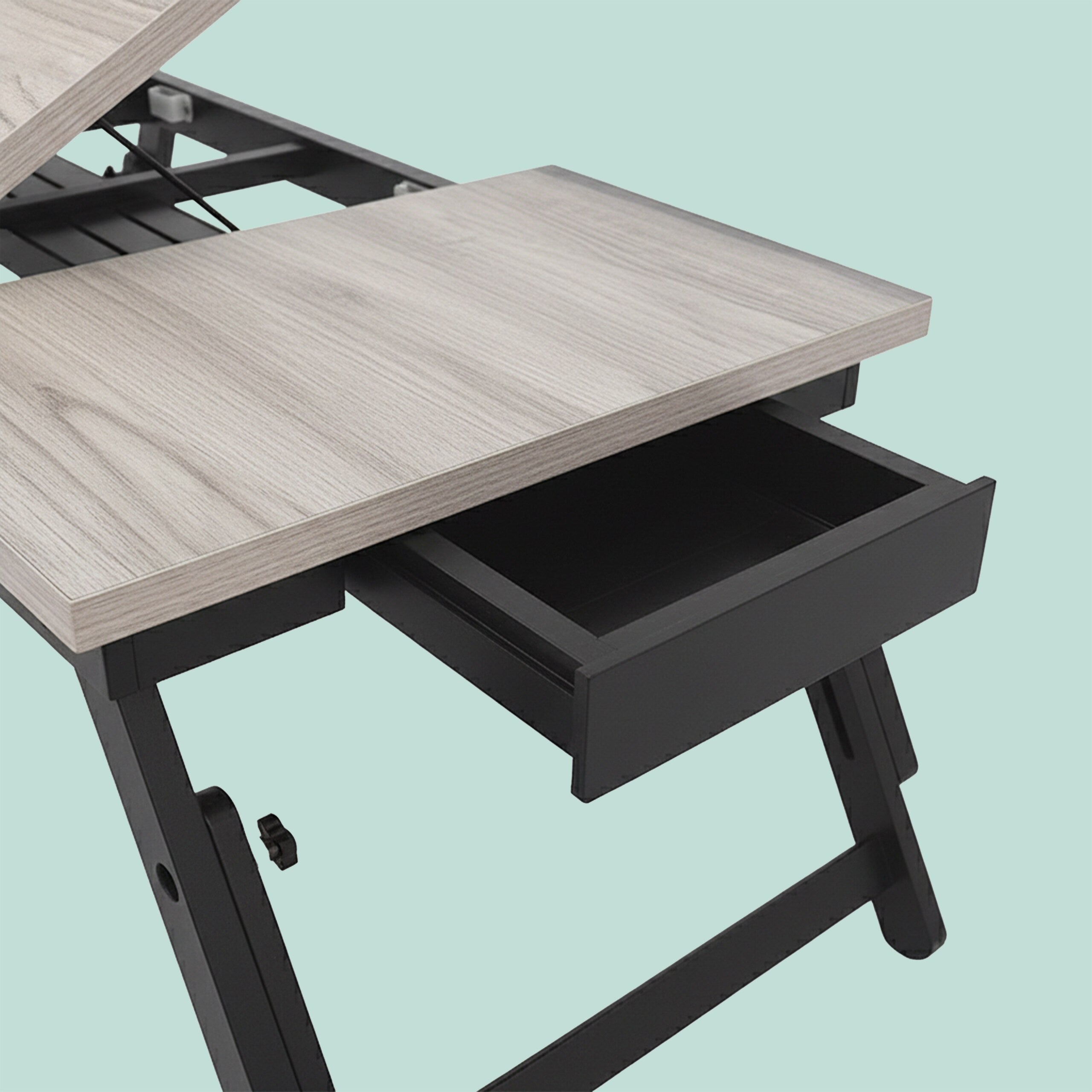 img_12592537