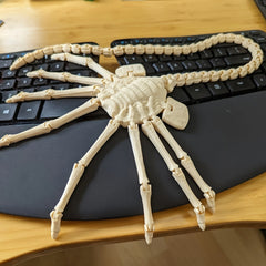 Alien Model Joint Flexible Decoration Animal Statue Gift