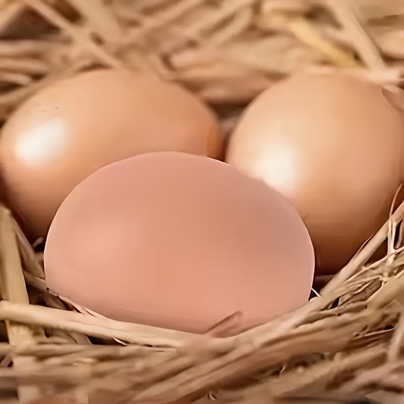Magic Bouncy Egg Realistic Rubber Mix