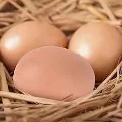 Magic Bouncy Egg Realistic Rubber Mix