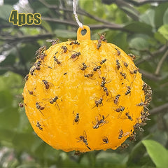 4pcs Sticky Fly Balls - Catch Mosquitoes & Pests - Eco Friendly