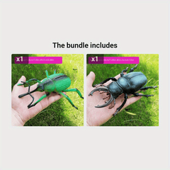 Insect Model Toy for Early Education