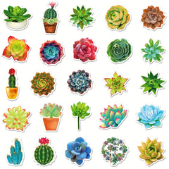 50pcs Waterproof Succulent Stickers Water Bottle Laptop Skateboard Scrapbook