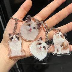 img_5176092