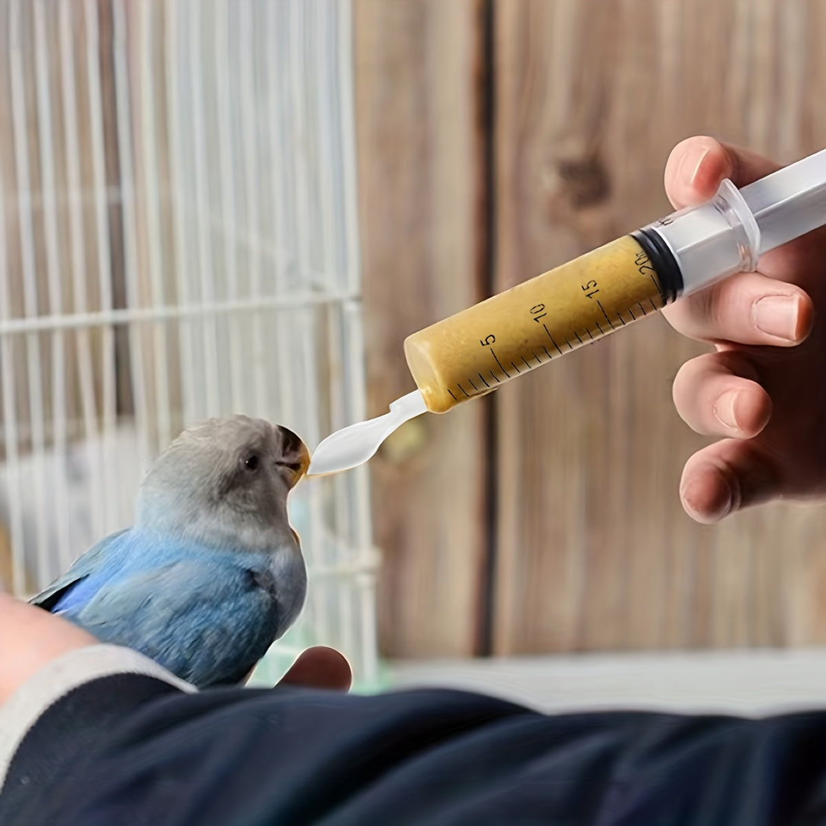 4pcs Bird Feeder Supplies For Parrots Needle Tube Feeder Parrot Feeding