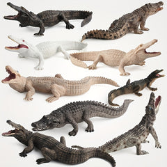 Crocodile Model Set for Enthusiasts