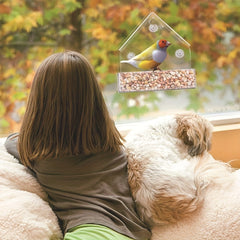 Large Hanging Bird Feeder with Suction Cups and Removable Tray