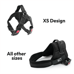 img_5505111