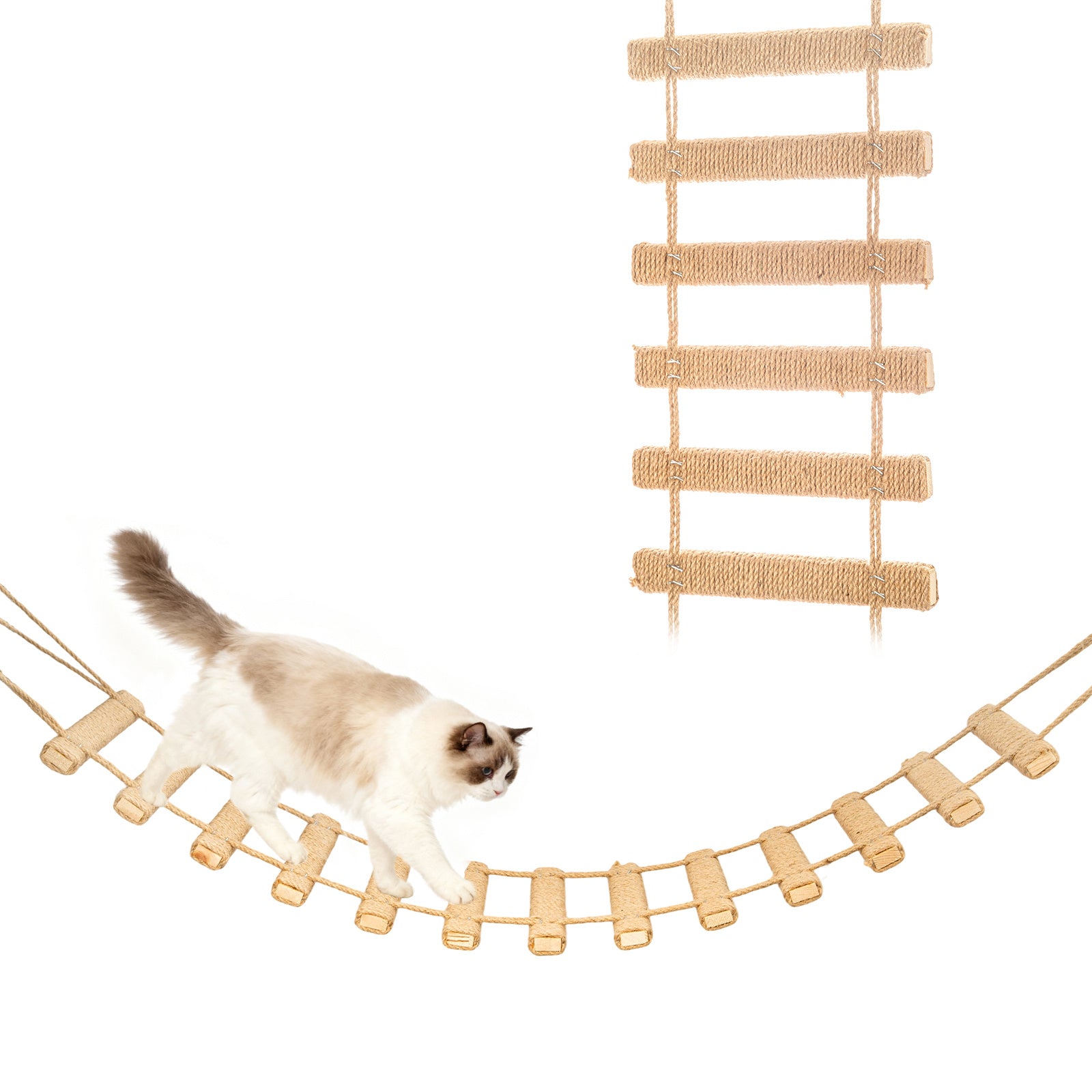 img_4081532