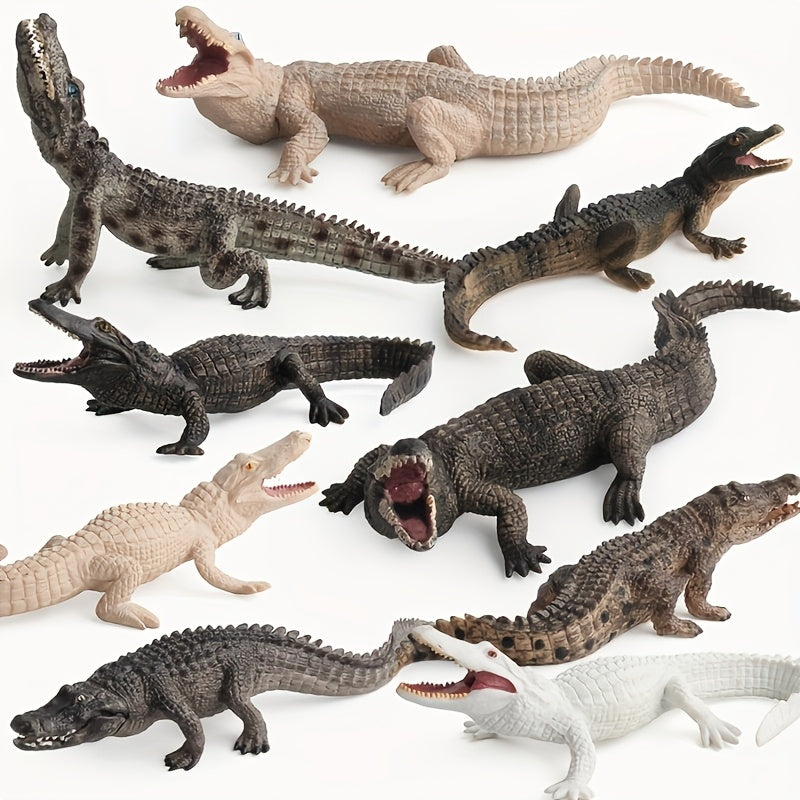 Crocodile Model Set for Enthusiasts