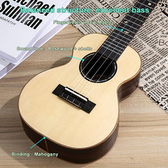 66 cm Spruce Single Plate Rosewood Back Side Plate