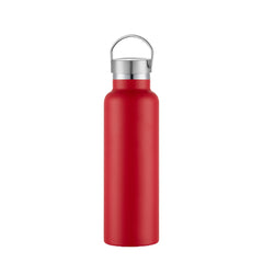 20oz Insulated Water Bottle Steel Lid BPA Free