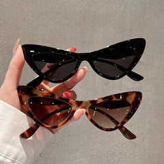 Cat Eye Sunglasses Women Sunscreen Glasses Hiking