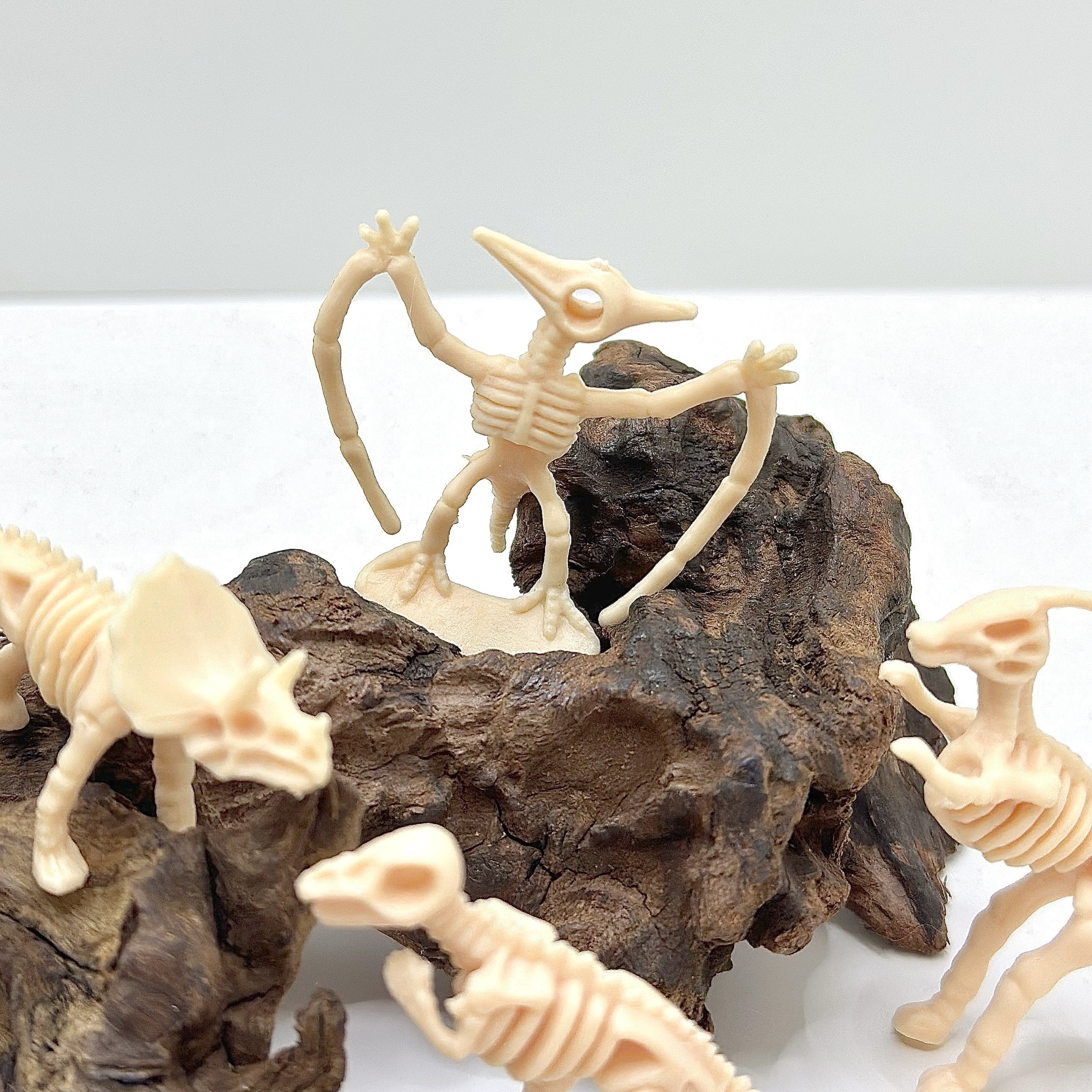 20pcs Mini Dinosaur Skeletons Set with Excavation Accessories
