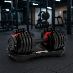 img_5567291