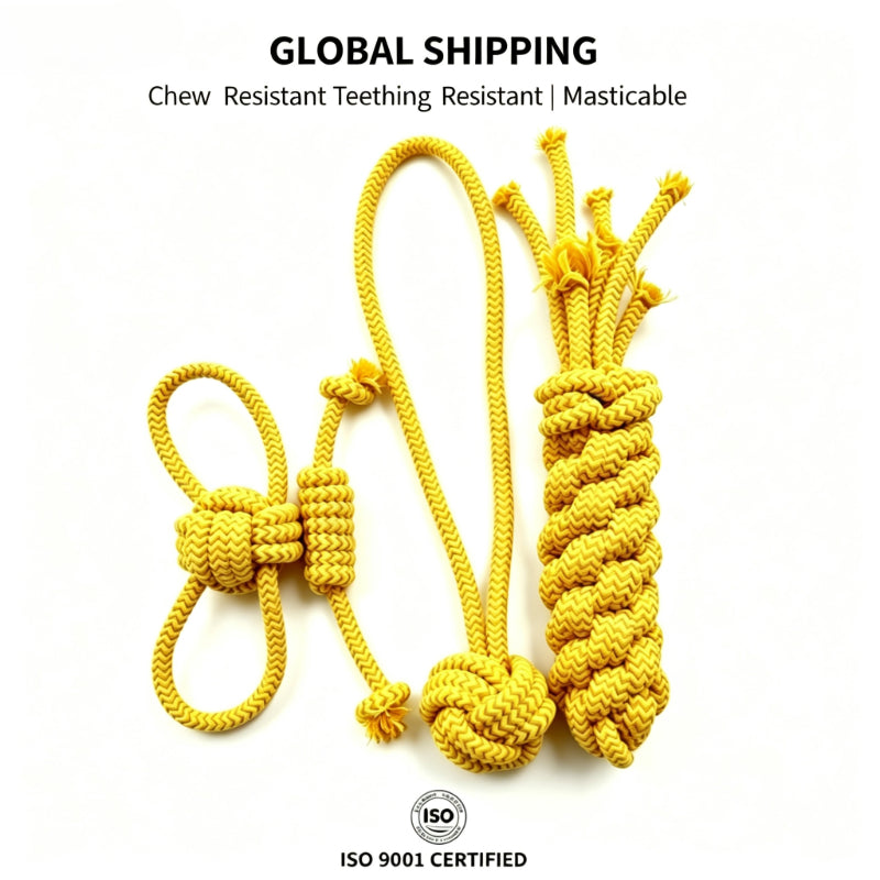 img_7363833