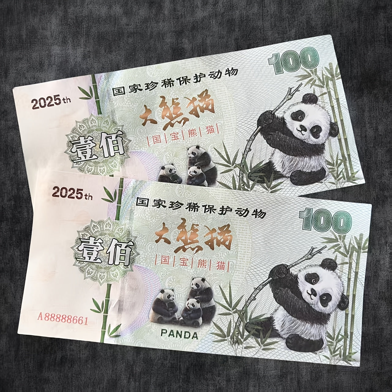 Giant Panda Collectible Banknotes Set