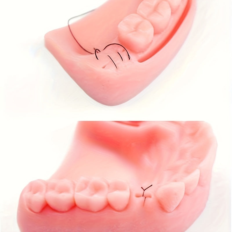 Dental Suture Practice Model With Base Teeth Module