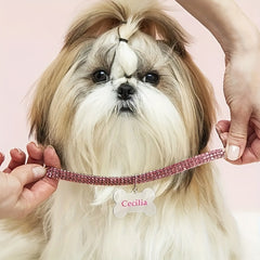 img_5211328