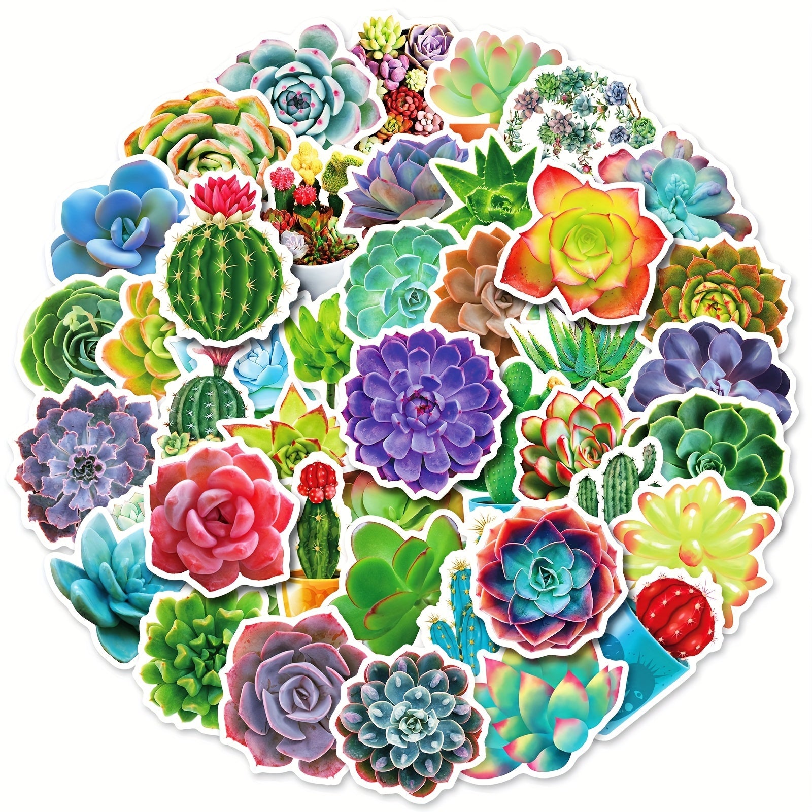 50pcs Waterproof Succulent Stickers Water Bottle Laptop Skateboard Scrapbook