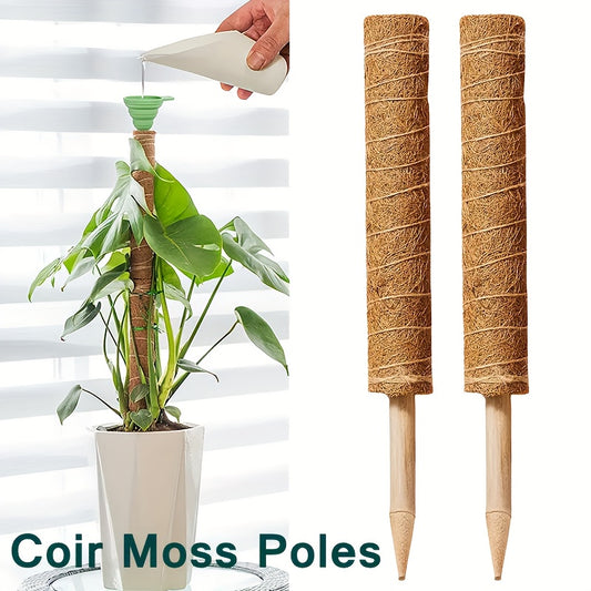 1pc Green Carrot Plant Climbing Pole Palm Rattan St