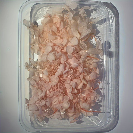 Dried Flowers Kit for Crafts and Decorations