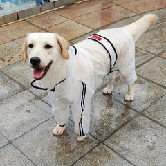 Clear Dog Raincoat Waterproof All inclusive Small Dog Raincoat