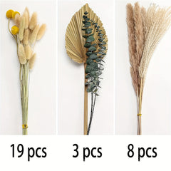 Boho Bouquet Pampas Grass Rabbit Tail Grass Reed Dried Flowers