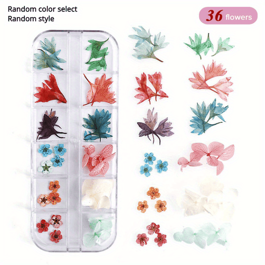 Natural Dried Flowers - Assorted Mix for Crafts and Decor