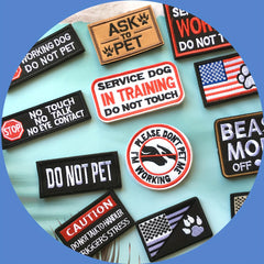 J CARP 12pcs Service Dog Patches Men Tactical Pet In Training Embroidered