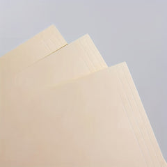 12pcs File Organizer Folders Assorted Positions Letter Size Office Supplies