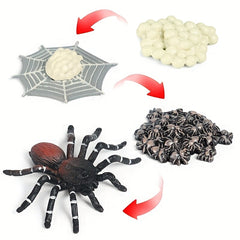 Spider Educational Simulation Models for Halloween Pranks