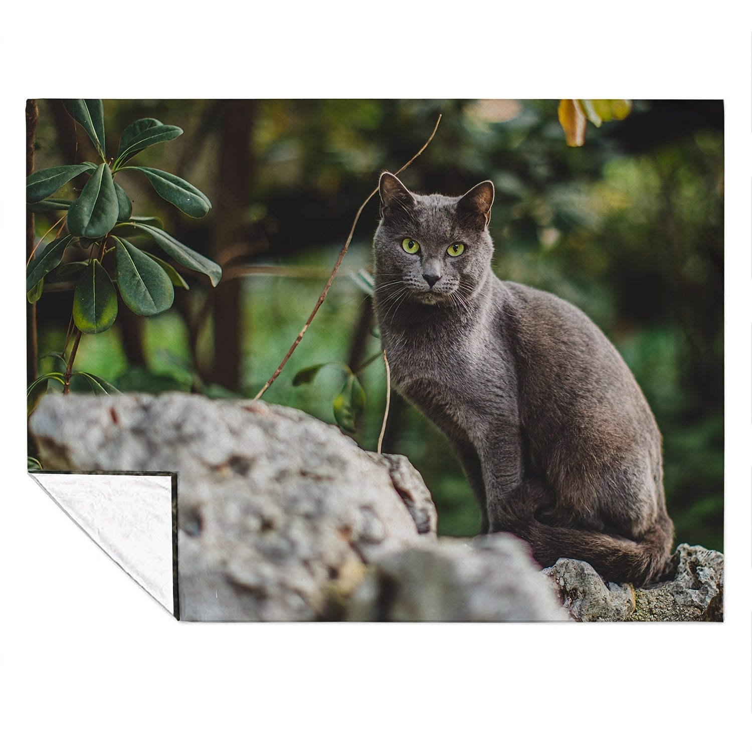 Cat Blanket Soft Comfortable Warm Lightweight Blanket for Home Bed