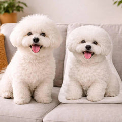 img_5163065