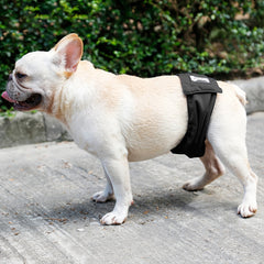 Anti Harassment Dog Diapers for Male Pets