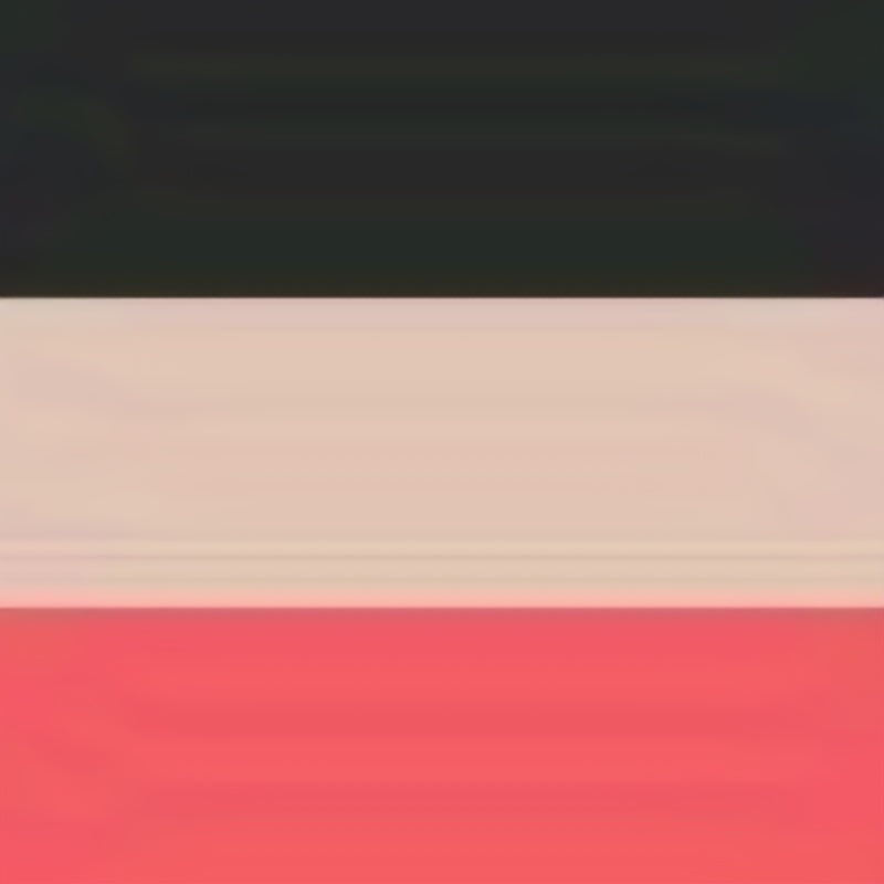 3pcs Triple Ring Buckle Belt Dark Pink Red PU Vintage Waistband Girdle