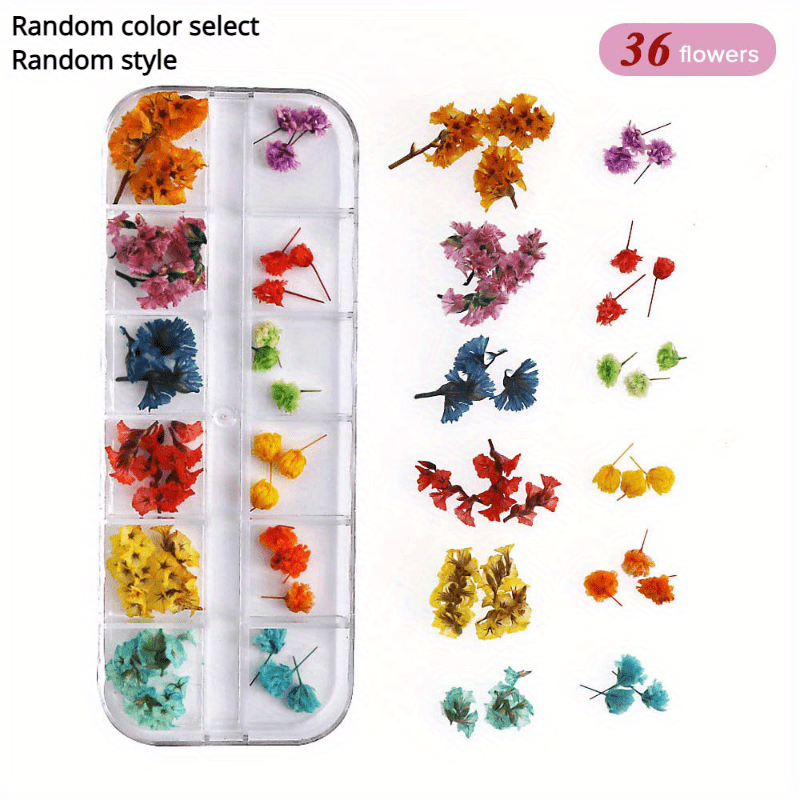 Natural Dried Flowers - Assorted Mix for Crafts and Decor
