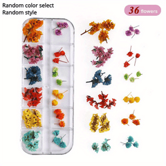 Natural Dried Flowers - Assorted Mix for Crafts and Decor