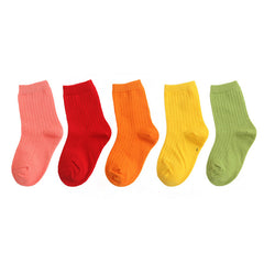 10 Pairs Girls Rainbow Candy Crew Socks for Kids