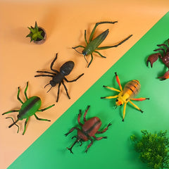 Insect Model Toy for Early Education